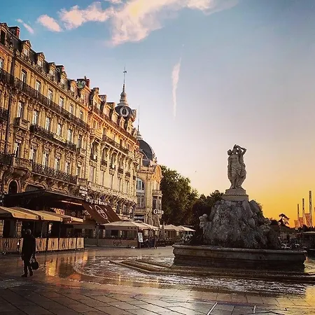 Apartamento Le Havre De Paix Montpellierain - Terrasse Et Parking Prive Montpellier