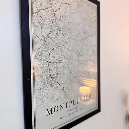 Le Havre De Paix Montpellierain - Terrasse Et Parking Prive Apartamento *