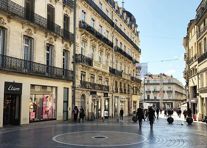 Le Havre De Paix Montpellierain - Terrasse Et Parking Prive Apartment